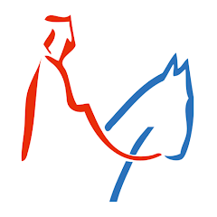 Bamberg App
